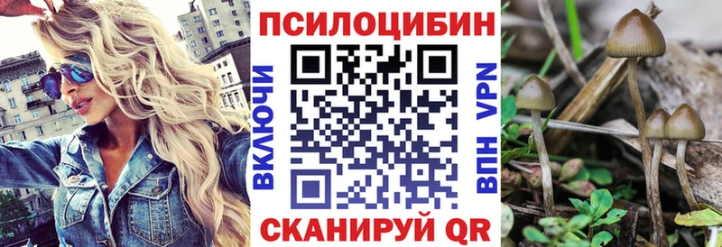 Псилоцибиновые грибы прущие грибы  Купить где  Светлогорск 